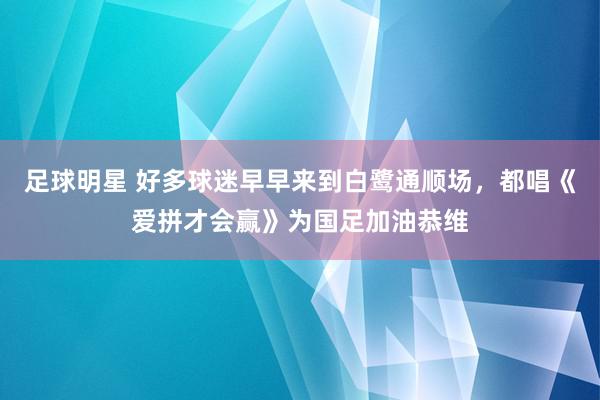 足球明星 好多球迷早早来到白鹭通顺场，都唱《爱拼才会赢》为国足加油恭维