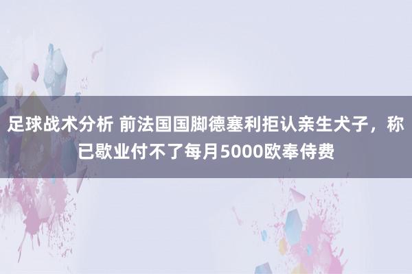 足球战术分析 前法国国脚德塞利拒认亲生犬子，称已歇业付不了每月5000欧奉侍费