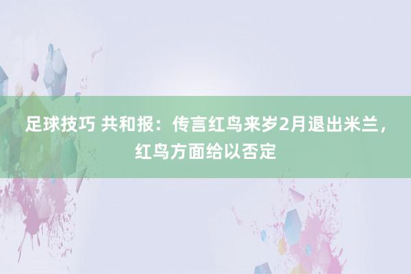 足球技巧 共和报：传言红鸟来岁2月退出米兰，红鸟方面给以否定