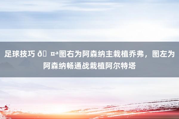 足球技巧 🤪图右为阿森纳主栽植乔弗，图左为阿森纳畅通战栽植阿尔特塔