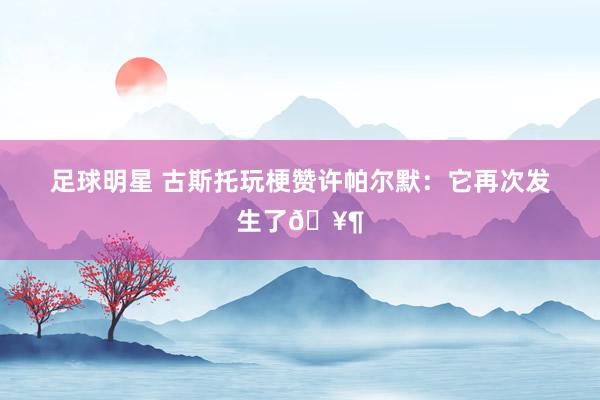 足球明星 古斯托玩梗赞许帕尔默：它再次发生了🥶