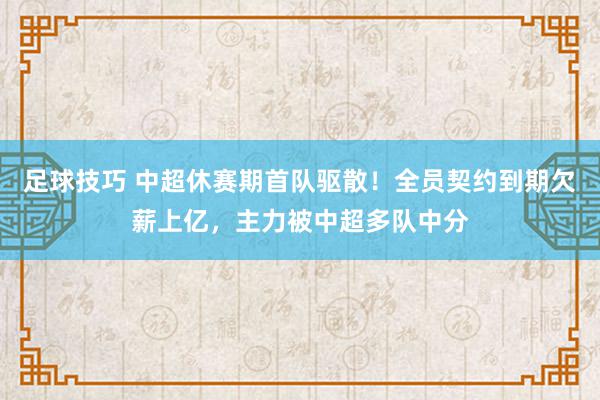 足球技巧 中超休赛期首队驱散！全员契约到期欠薪上亿，主力被中超多队中分